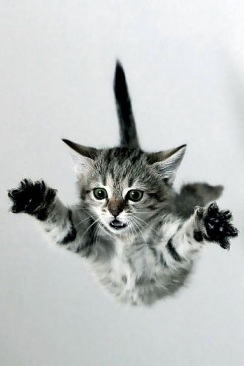 Supercat