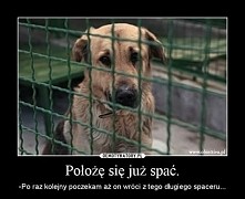Położe...