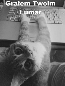 Albo "Zobaczyłem myszkę...to ją zjadłem ^.^ "