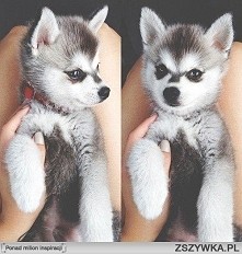 Boziu jaki kochany <3