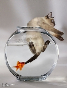 Czasami role potrafią się o...