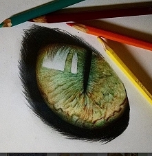 Uwierzycie że to rysunek?