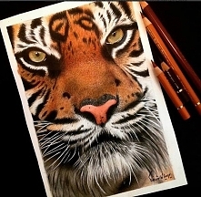 cudowny rysuneczek :)