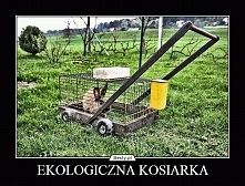 zdechłam jak to zobaczyłam