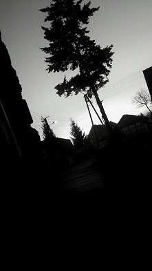 " Ciemno już, zgasły w...