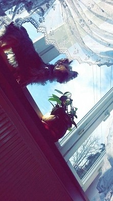 Moja mała Bohaterka ♥