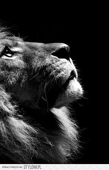 "Z każdym dobrym człow...