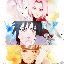 team 7