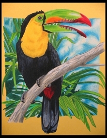 Tukan w moim wykonaniu, kredki bezdrzewne koh i noor, format A4.