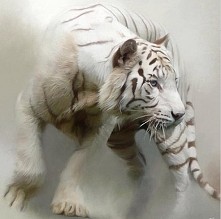 by Paul Miners