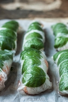 Spring Rolls