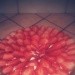 tarta z truskawkami :)