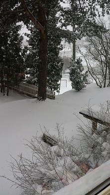 a u mnie dziś zimowo! ☺