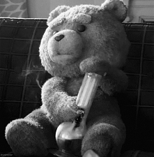 z filmu Ted