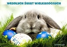 Wesołych świąt :)