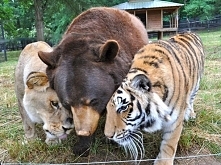 takich dwóch jak nas trzech to nie ma ani jednego