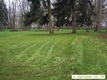 Sezon koszeń na terenach pa...