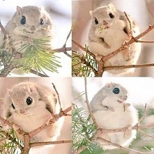 taki slodziaczek *-*