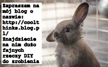 Zapraszam na mojego bloga !