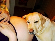 Ale mam wygodną podusie:)