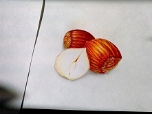 Więcej inspiracji na kanale yt podanym w komentarzu