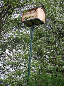 BUDKA WIELORODZINNA :)