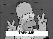 właśnie jak to jest z tymi ...