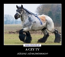 jeżdzisz na zimówkach?