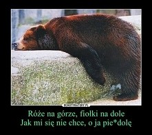 Też wam sie nic nie chce ? ;)