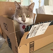 box