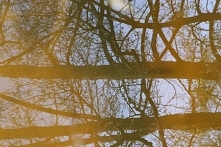 ZDJĘCIE Z: Korzeniówka, staw