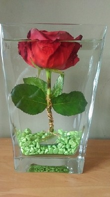 ciekawa aranżacja :) a zrobiłam ją tylko dlatego ze główka sama nie chciala sie utrzymac i przeżyć