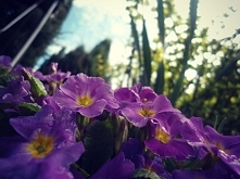 ahhhhh..*.* wyczuwam latoo..