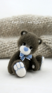 Bury miś z niebieskim