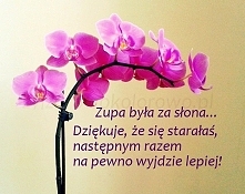 Komunikacja w związku to bardzo ważna sprawa. To jak mówimy do drugiej osoby może wywołać różne reakcję! Jak dobrze ugryźć ten temat? Zapraszam na: zyjzdrowokolorowo.pl