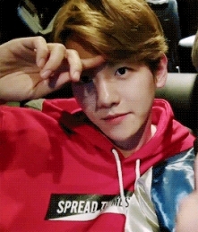 BaekHyun, EXO