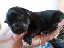 przyszedł na świat w niedzielę o 4 rano