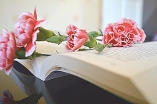 Książki, książki, książki