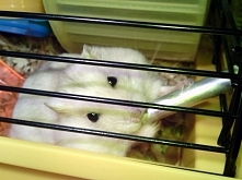 Mój najsłodszy Max <3