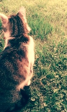 :3 Mój kićuś 



Sweet