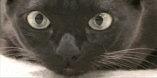 <3