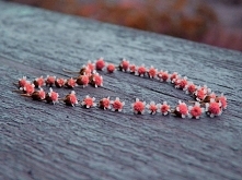 Co powiecie na to serduszko...