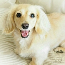 I jak tu nie kochać ?