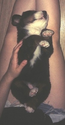 Kochana kruszynka <3