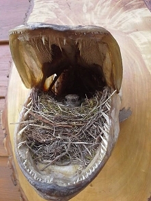 Maleństwo w paszczy bestii :)