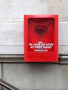 In case of love...