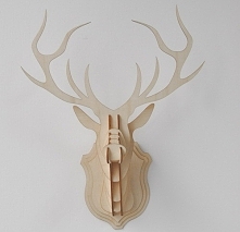 Po kliknięciu na zdjęcie pr...