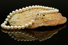 Wiecznie żywy klasyk.