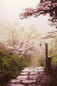 Japonia