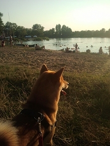 Mmm... zachód słońca <3 Po raz pierwszy Taiyo stał nieruchomy dłużej niż 3 sekundy :o
rudyshibau.blogspot.com